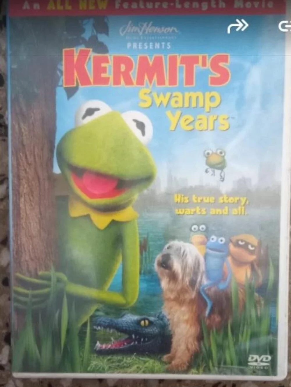 Kermit's Swamp Years DVD - Green
